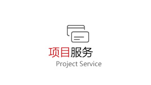 项目服务